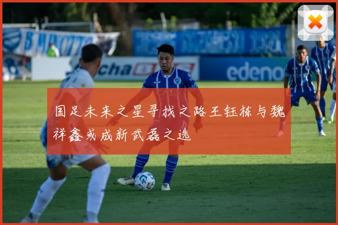 国足未来之星寻找之路王钰栋与魏祥鑫或成新武磊之选